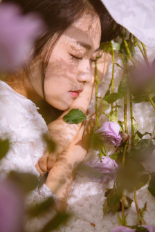 白桃松木(校园)请你吃糖凌虚阁